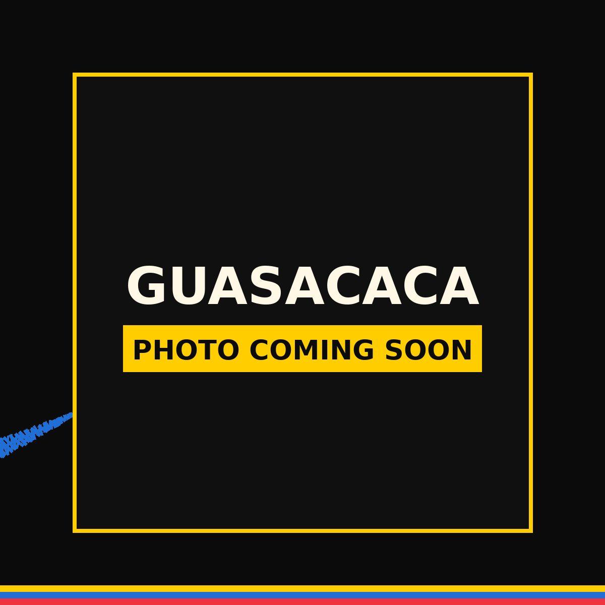Guasacaca